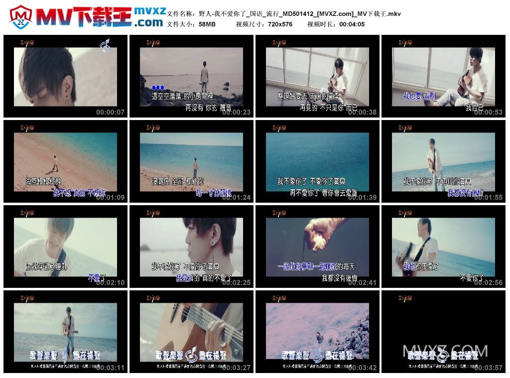 野人-我不爱你了_国语_流行_MD501412